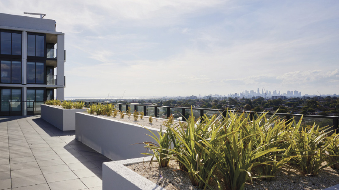 One Fell Swoop - Case Study - Hyson rooftop terrace