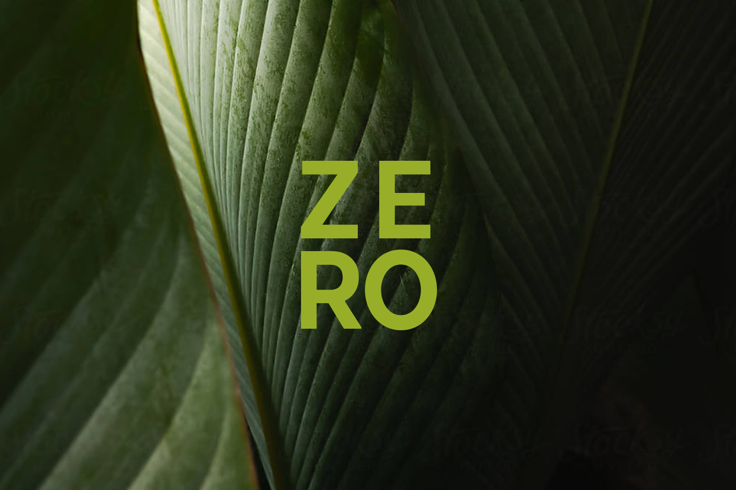 Green leaves with the word 'Zero' super imposed over the top