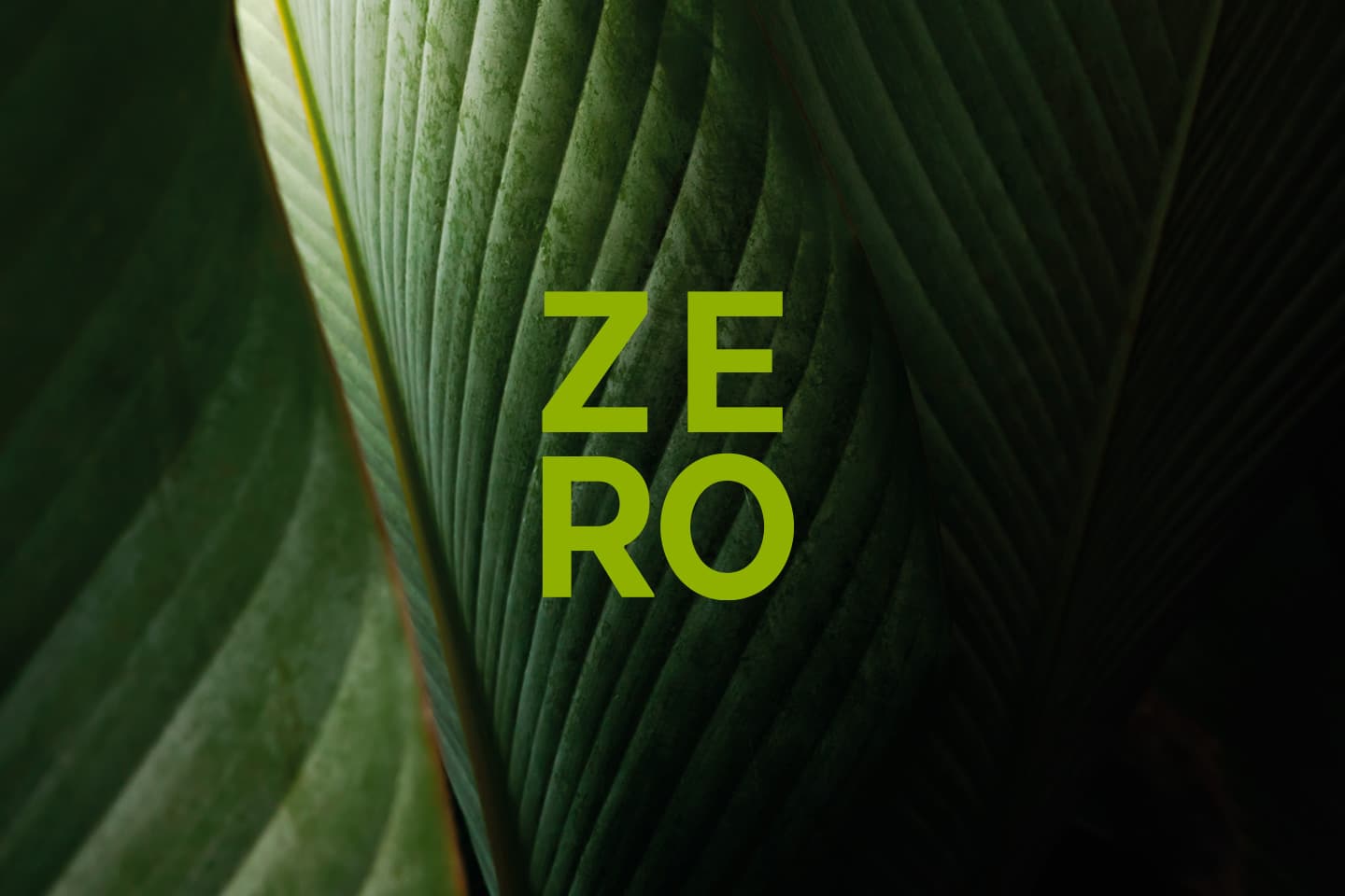 Green leaf with the word zero over the top